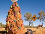 Giant Termite Mound in Outback Western Australia
