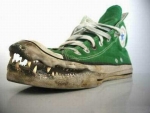 corocodile-or-alligator-converse-funny-shoes1_SOwur_23163
