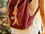 backpack-spring-red-color-bag-fashion-71910-pxhere.com_
